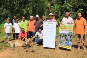 Qurban for mualaf Inanam