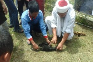 kursus penyembelihan keningau