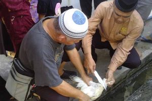 kursus penyembelihan