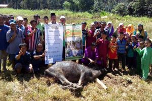 qurban for mualaf kota marudu