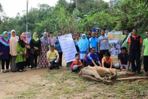qurban for mualaf tamparuli