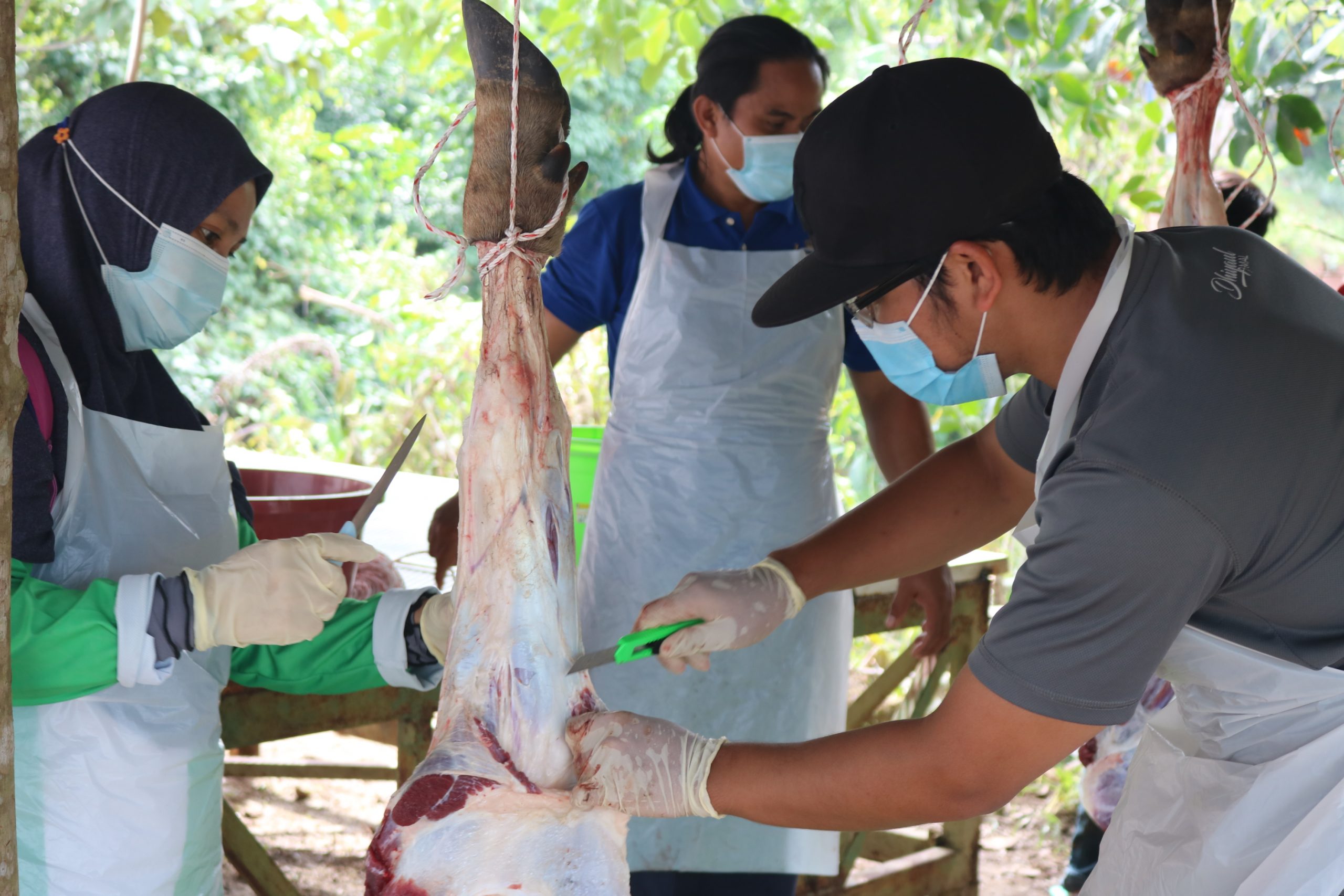 Qurban For Mualaf Kampuang Naalap Menggatal Sabah
