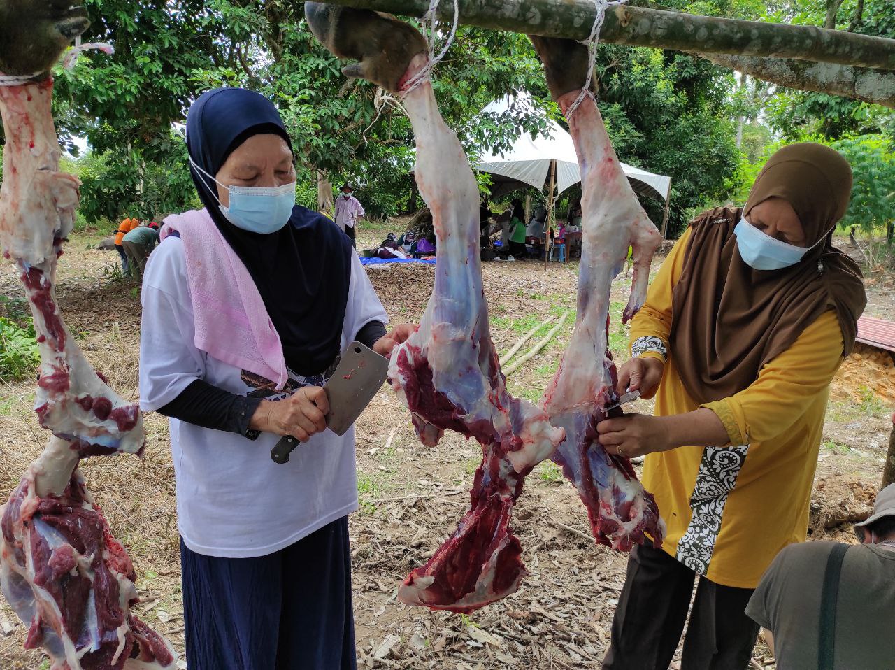 HCP : QURBAN FOR MUALAF KG KELATUAN