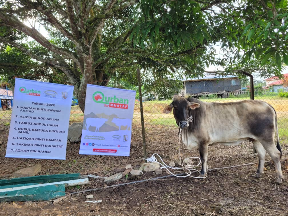 Qurban for Mualaf