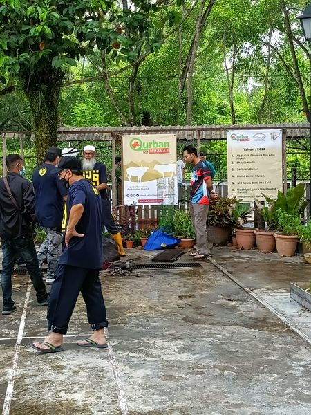 Agihan Daging Korban oleh Surau Al-Mawaddah